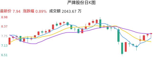 整体分析-日K图：严牌股份股票整体分析报告