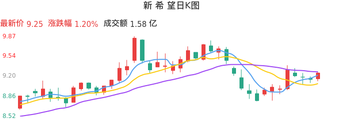 整体分析-日K图：新希望股票整体分析报告