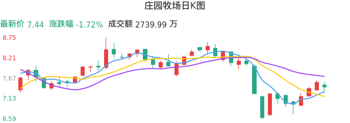 整体分析-日K图：庄园牧场股票整体分析报告