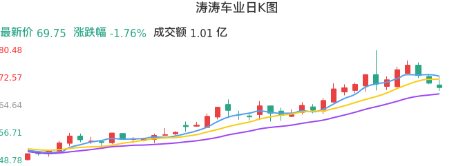 整体分析-日K图：涛涛车业股票整体分析报告