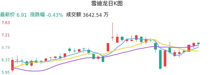 整体分析-日K图：雪迪龙股票整体分析报告