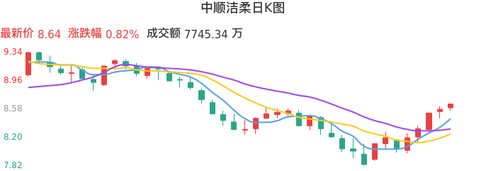 整体分析-日K图：中顺洁柔股票整体分析报告