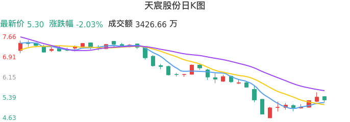整体分析-日K图：天宸股份股票整体分析报告