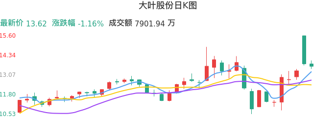 整体分析-日K图：大叶股份股票整体分析报告