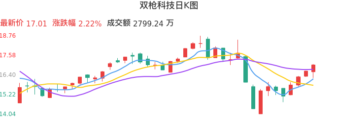 整体分析-日K图：双枪科技股票整体分析报告