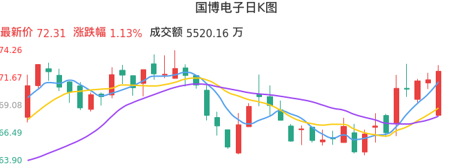 整体分析-日K图：国博电子股票整体分析报告