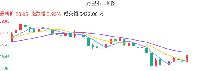 整体分析-日K图：万里石股票整体分析报告