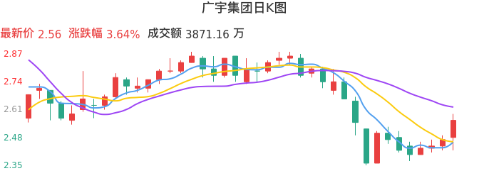 整体分析-日K图：广宇集团股票整体分析报告