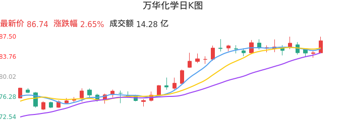 整体分析-日K图：万华化学股票整体分析报告