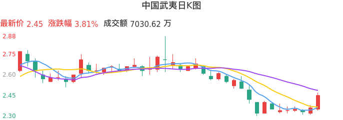 整体分析-日K图：中国武夷股票整体分析报告