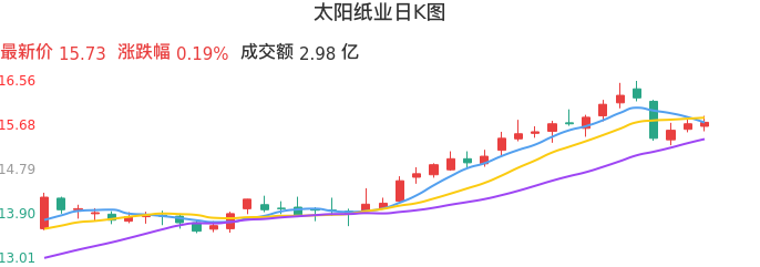 整体分析-日K图：太阳纸业股票整体分析报告