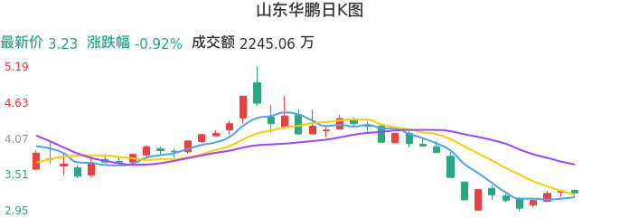 整体分析-日K图：山东华鹏股票整体分析报告