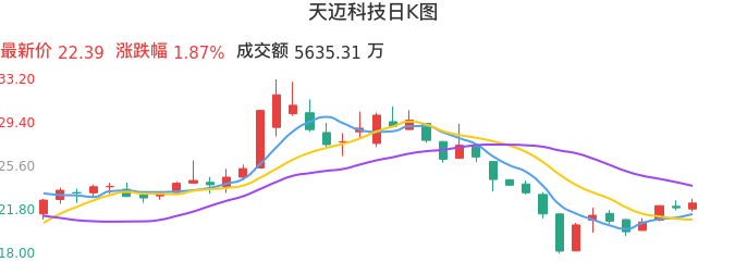 整体分析-日K图：天迈科技股票整体分析报告