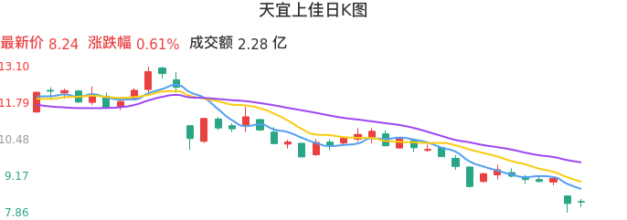 整体分析-日K图：天宜上佳股票整体分析报告