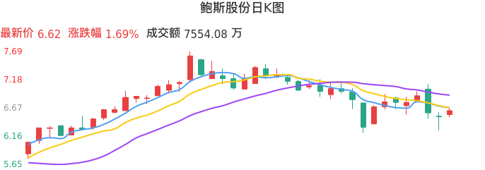 整体分析-日K图：鲍斯股份股票整体分析报告