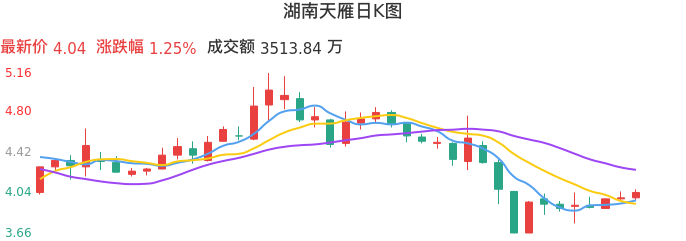 整体分析-日K图：湖南天雁股票整体分析报告