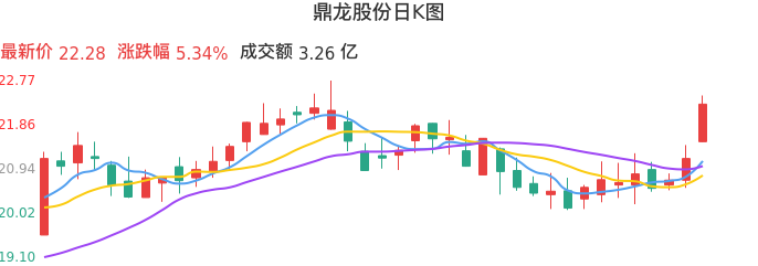 整体分析-日K图：鼎龙股份股票整体分析报告