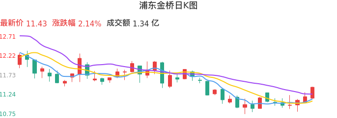 整体分析-日K图：浦东金桥股票整体分析报告