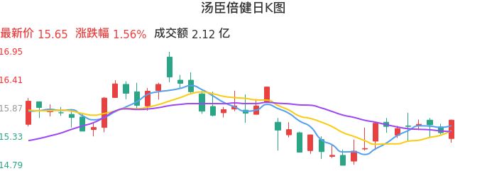 整体分析-日K图:汤臣倍健股票整体分析报告