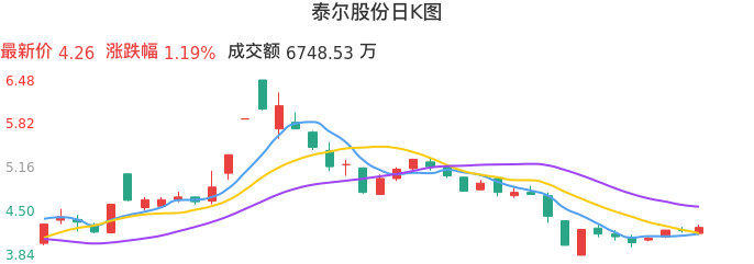 整体分析-日K图：泰尔股份股票整体分析报告