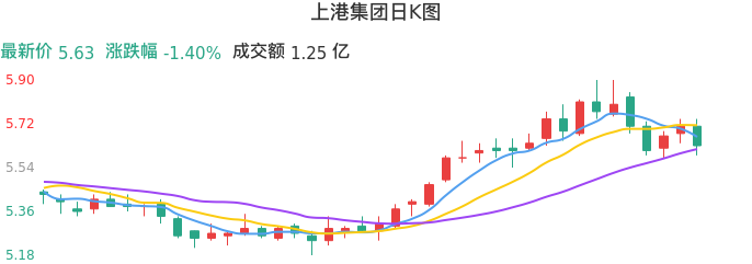 整体分析-日K图：上港集团股票整体分析报告
