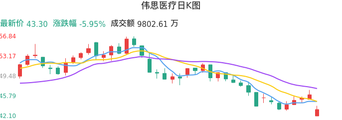 整体分析-日K图：伟思医疗股票整体分析报告