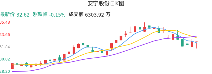 整体分析-日K图：安宁股份股票整体分析报告