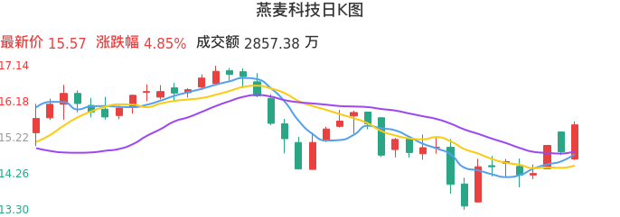 整体分析-日K图：燕麦科技股票整体分析报告