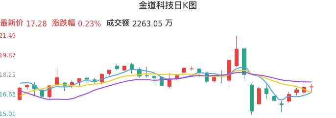 整体分析-日K图：金道科技股票整体分析报告
