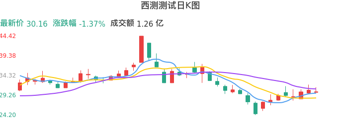 整体分析-日K图：西测测试股票整体分析报告
