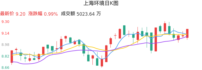 整体分析-日K图：上海环境股票整体分析报告