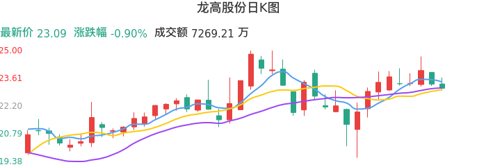 整体分析-日K图：龙高股份股票整体分析报告