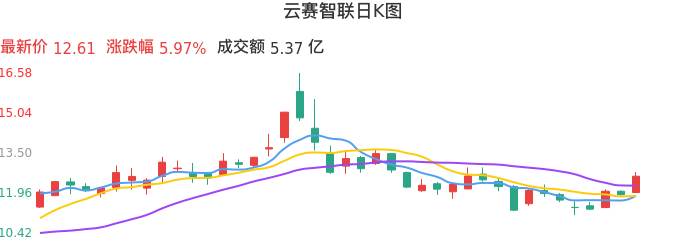 整体分析-日K图：云赛智联股票整体分析报告