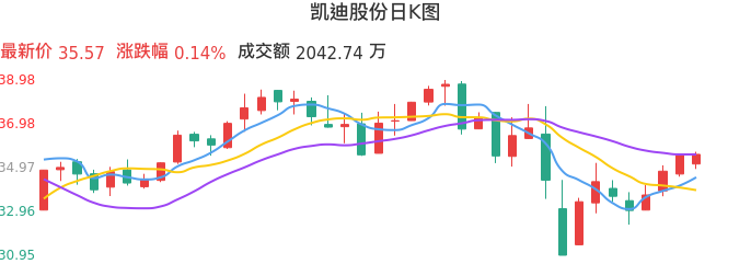 整体分析-日K图：凯迪股份股票整体分析报告