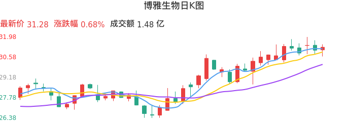 整体分析-日K图：博雅生物股票整体分析报告