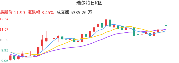 整体分析-日K图：瑞尔特股票整体分析报告