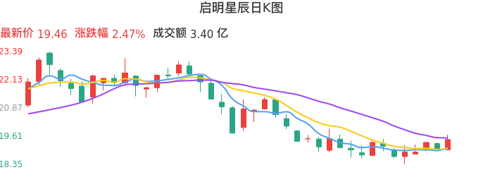 整体分析-日K图：启明星辰股票整体分析报告