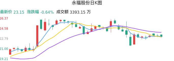 整体分析-日K图：永福股份股票整体分析报告