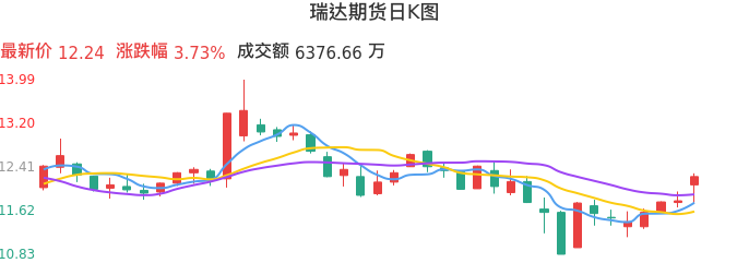 整体分析-日K图：瑞达期货股票整体分析报告