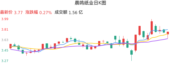 整体分析-日K图：晨鸣纸业股票整体分析报告