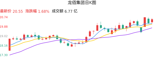整体分析-日K图：龙佰集团股票整体分析报告