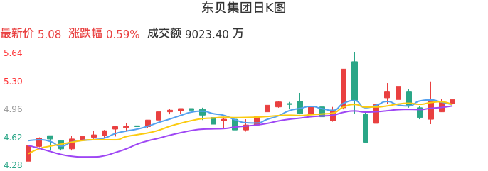 整体分析-日K图：东贝集团股票整体分析报告