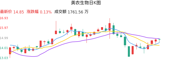 整体分析-日K图：美农生物股票整体分析报告