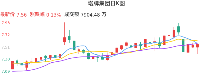 整体分析-日K图：塔牌集团股票整体分析报告