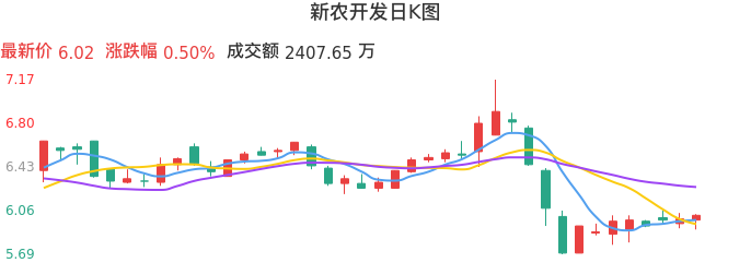 整体分析-日K图：新农开发股票整体分析报告