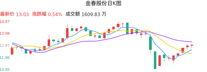 整体分析-日K图：金春股份股票整体分析报告