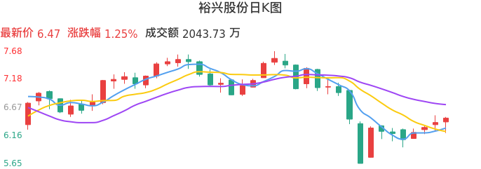 整体分析-日K图：裕兴股份股票整体分析报告
