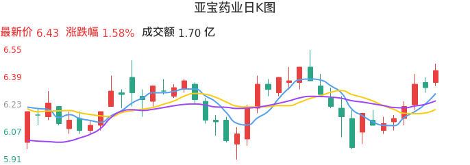 整体分析-日K图：亚宝药业股票整体分析报告