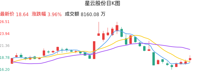 整体分析-日K图：星云股份股票整体分析报告