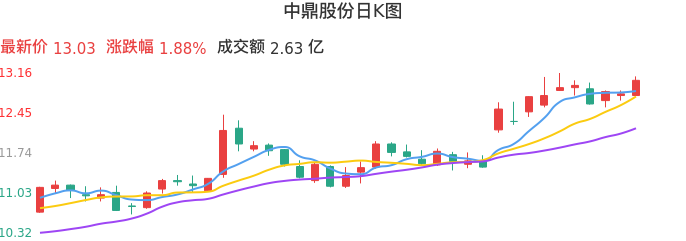 整体分析-日K图：中鼎股份股票整体分析报告